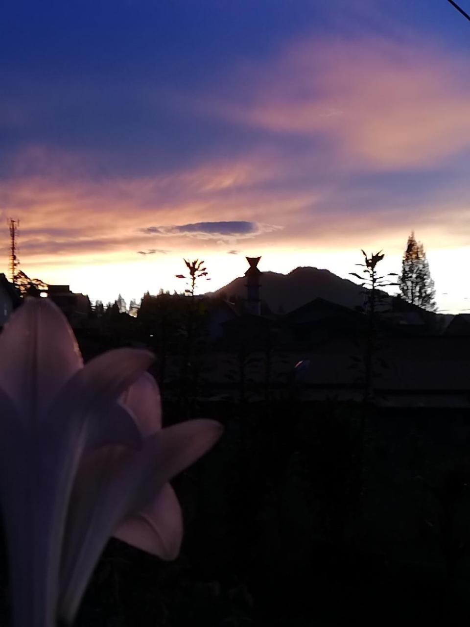 Smiley'S Homestay Берастагі Екстер'єр фото